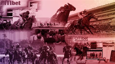 The $50 billion black market bookmaker: how an illegal.